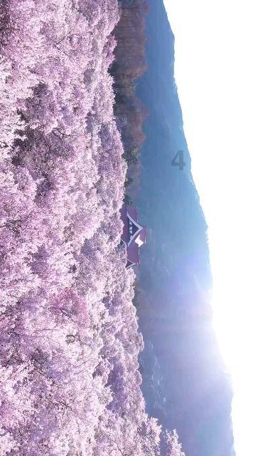 加入纯水机经常拔插电源会不会损坏主机?,了解更多专业知识
