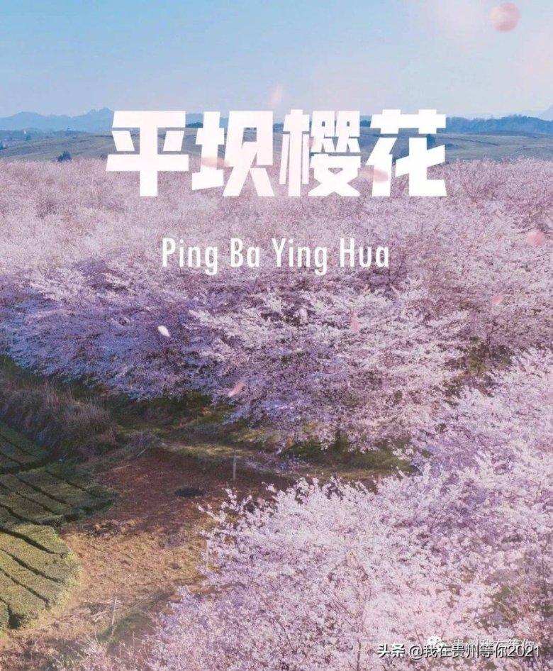 男朋友说那你再提什么怎么回复?-知识星球平台,探索无限知识的乐园